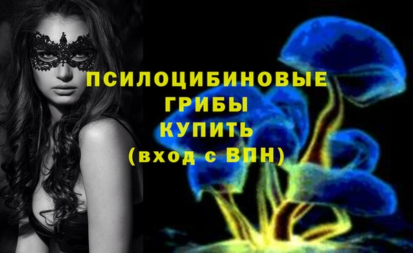 метамфетамин Белокуриха